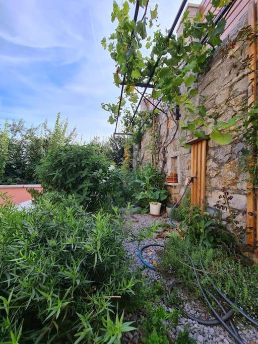 Appartement Hisa Idej à Sežana Extérieur photo